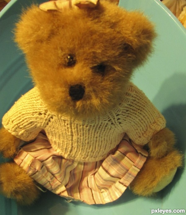 teddy